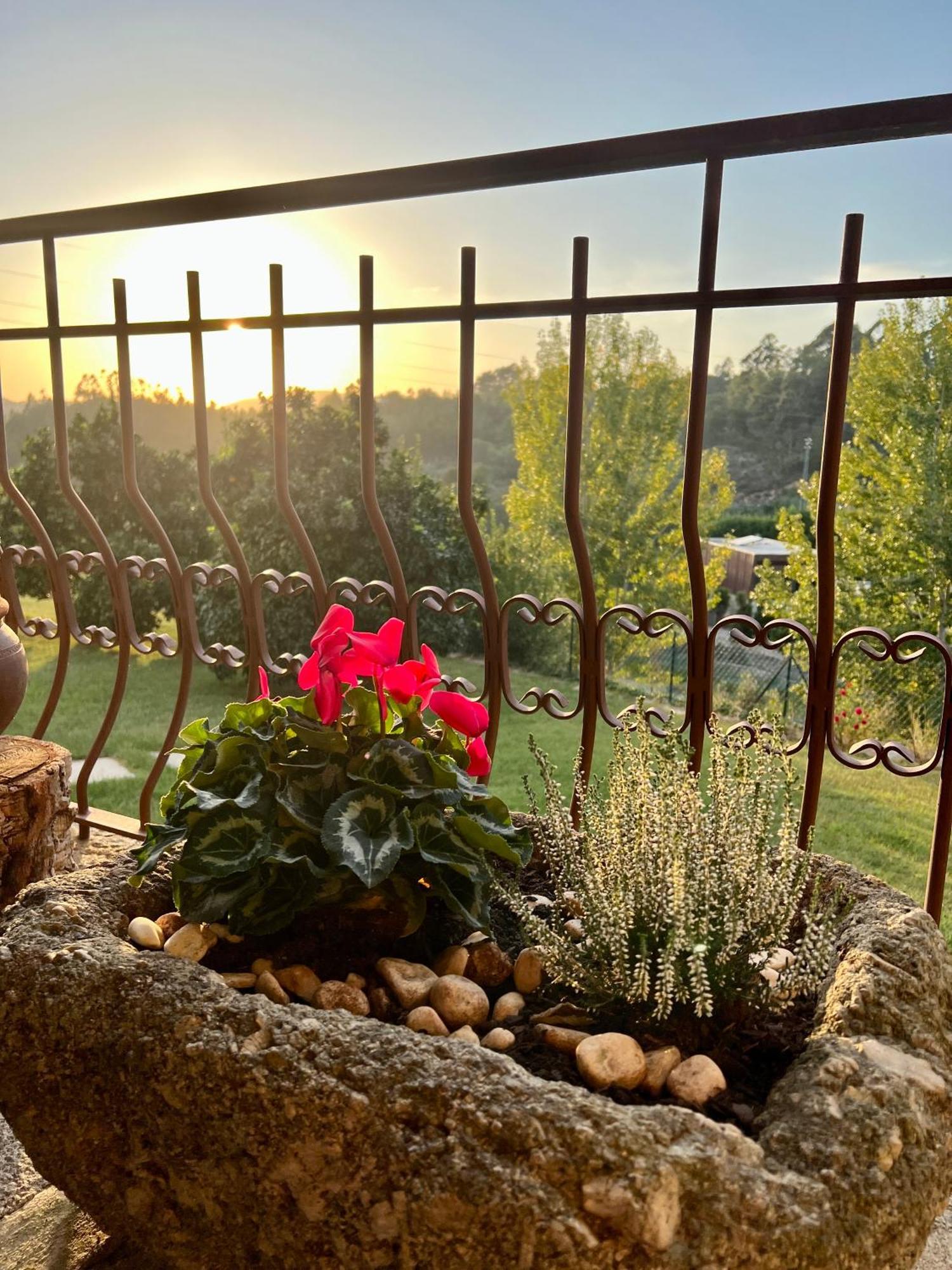 Quinta De Villasete Alpendurada Eksteriør bilde