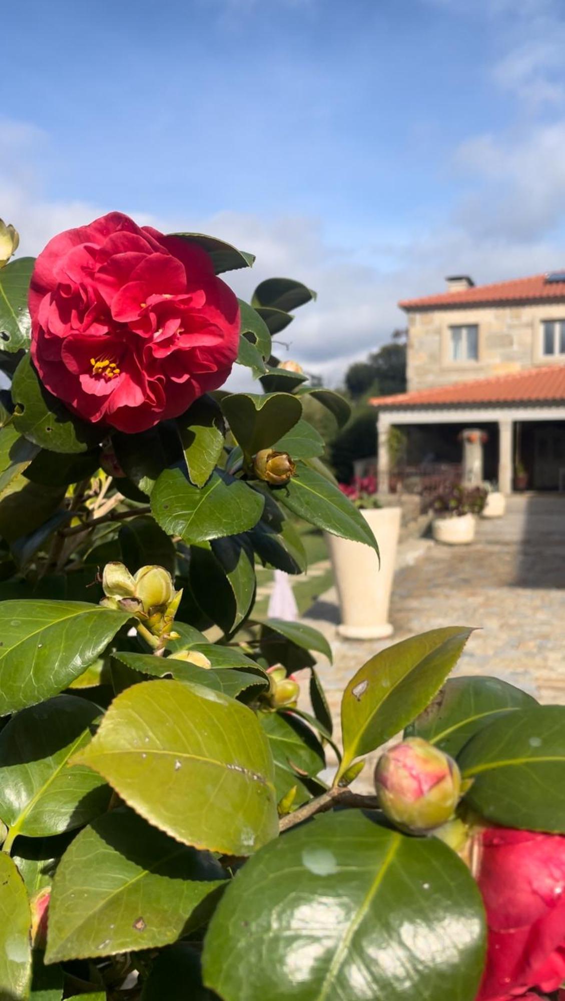 Quinta De Villasete Alpendurada Eksteriør bilde