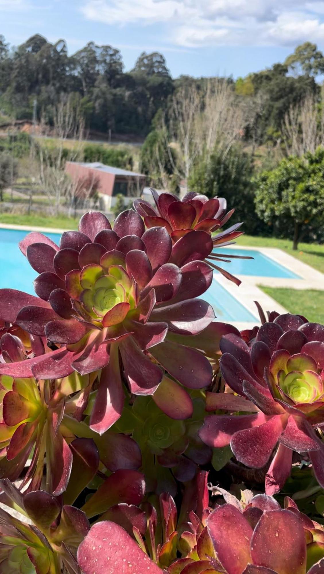 Quinta De Villasete Alpendurada Eksteriør bilde