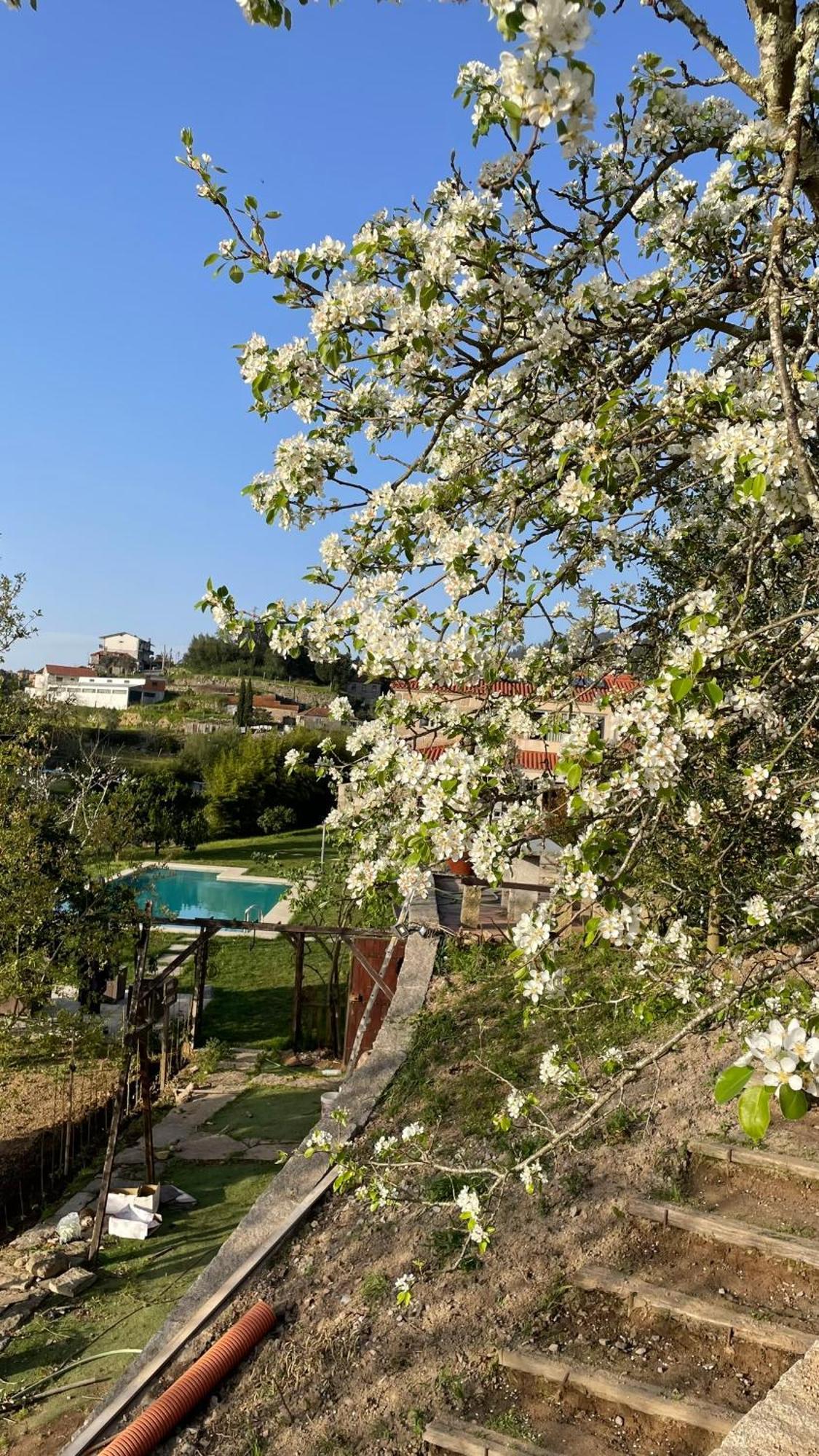 Quinta De Villasete Alpendurada Eksteriør bilde