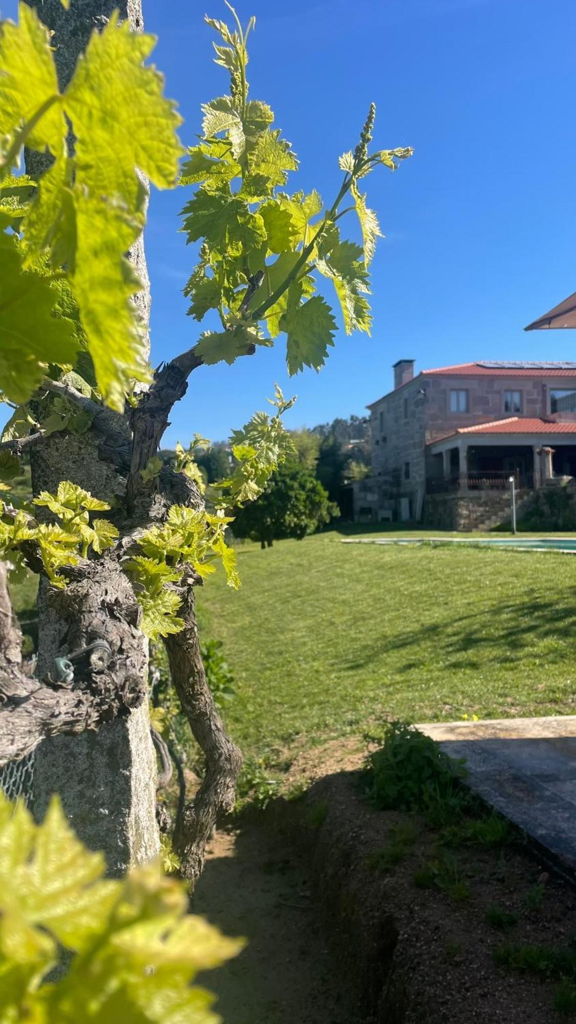 Quinta De Villasete Alpendurada Eksteriør bilde