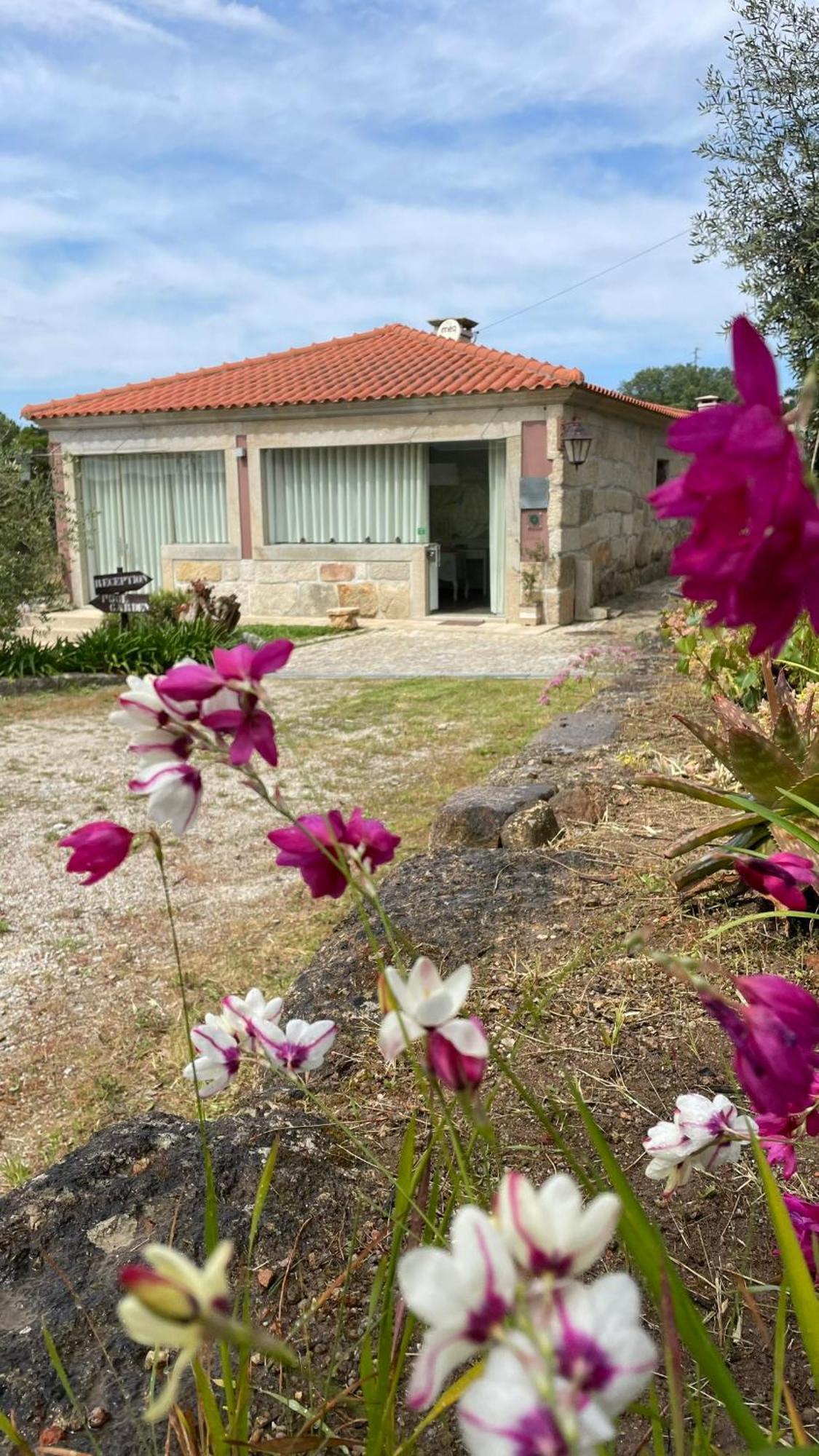 Quinta De Villasete Alpendurada Eksteriør bilde