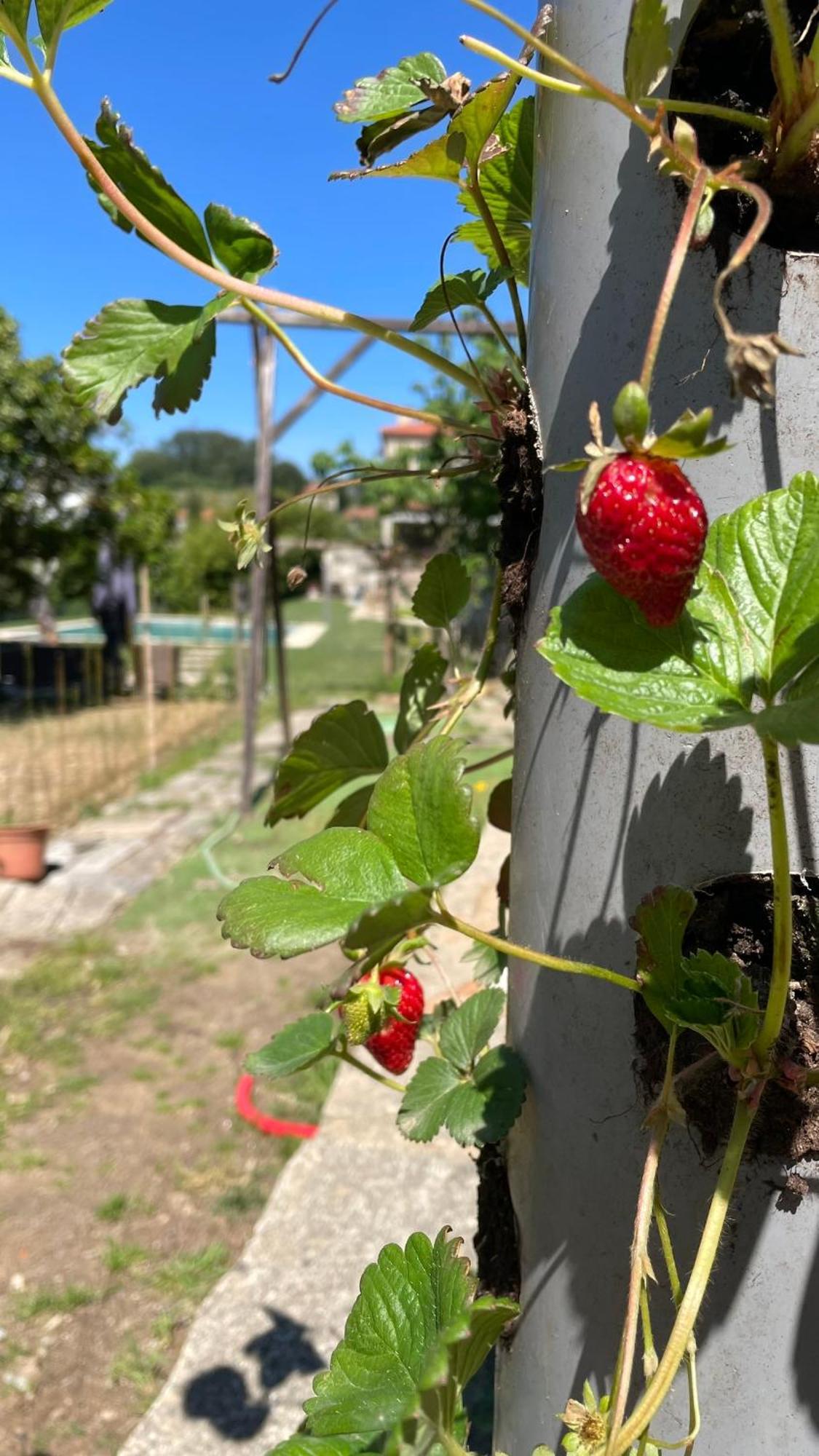 Quinta De Villasete Alpendurada Eksteriør bilde
