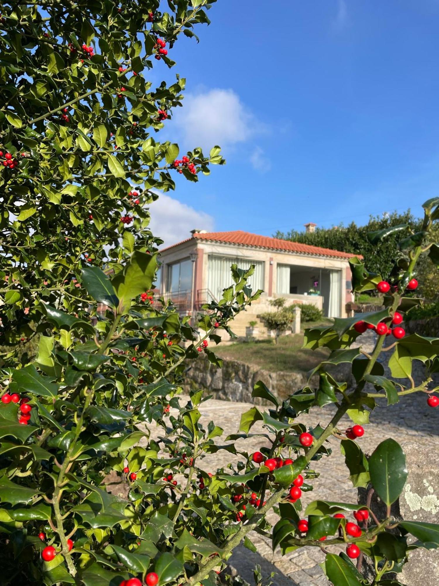 Quinta De Villasete Alpendurada Eksteriør bilde
