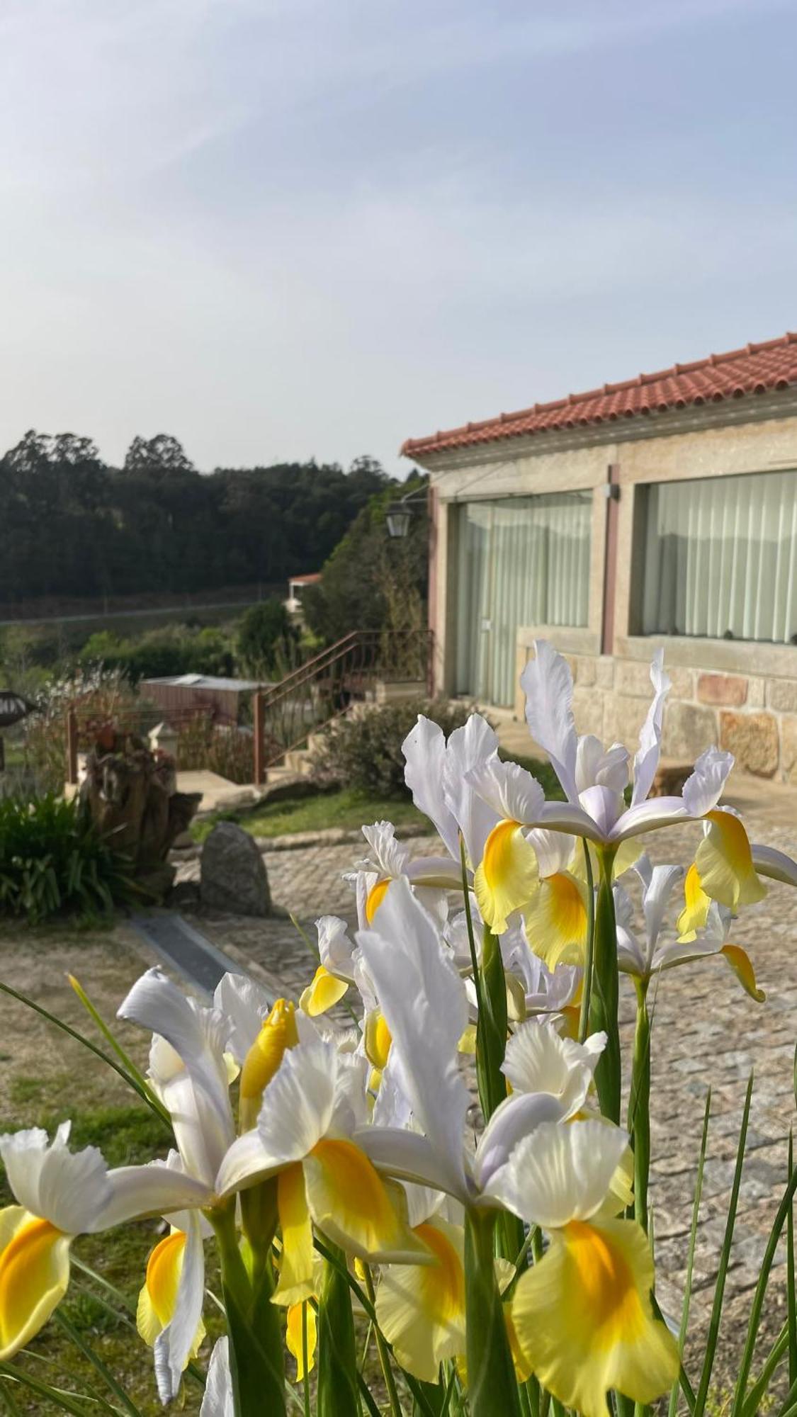 Quinta De Villasete Alpendurada Eksteriør bilde