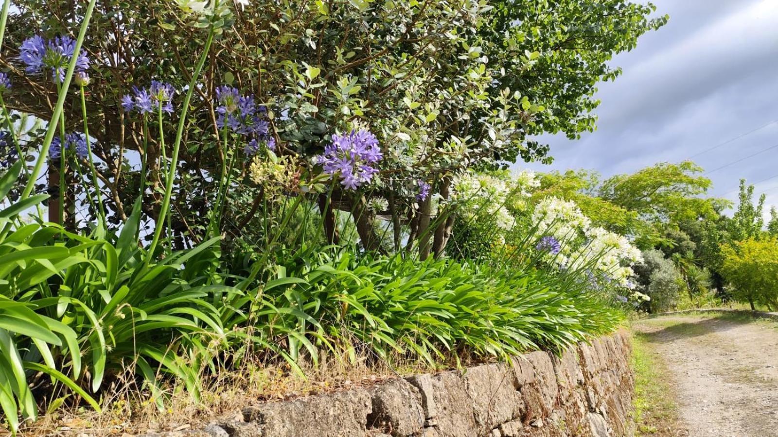 Quinta De Villasete Alpendurada Eksteriør bilde